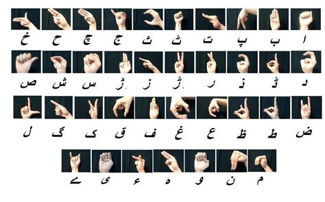 psl gif|urdu sign language.